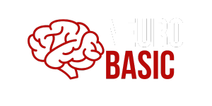 Neuro Basic Logo Das Neuro-Basic Logo der Neuro-Dimension Ausbilung