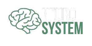 Neuro System Logo Das Neuro-System Logo der Neuro-Dimension Ausbildung