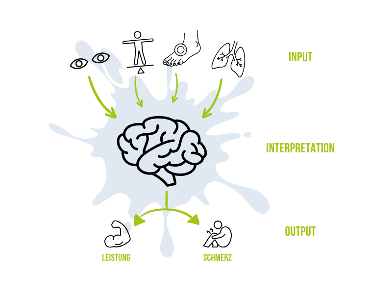 Input Interpretation Output Das Input-Interpretation-Output Model als Grundlage für neurozentriertes Training